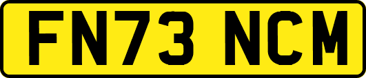 FN73NCM