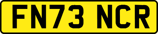 FN73NCR