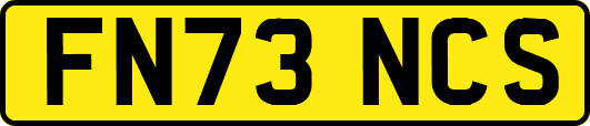 FN73NCS