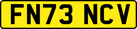 FN73NCV