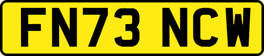 FN73NCW