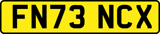 FN73NCX