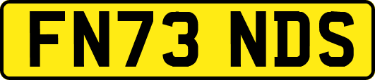 FN73NDS
