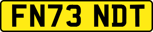 FN73NDT