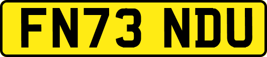FN73NDU