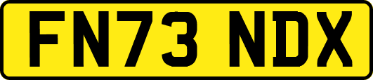 FN73NDX