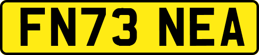 FN73NEA