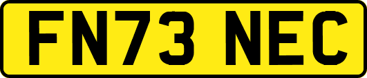 FN73NEC