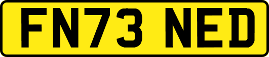 FN73NED