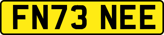 FN73NEE