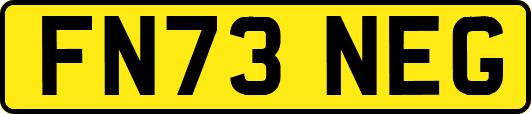 FN73NEG