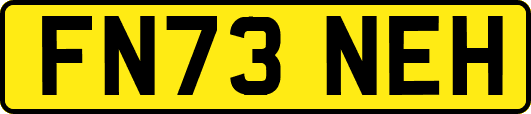 FN73NEH