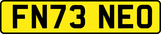 FN73NEO