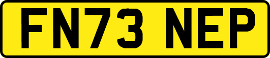 FN73NEP