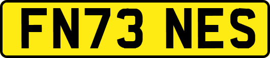 FN73NES