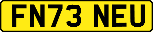FN73NEU