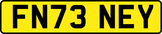 FN73NEY