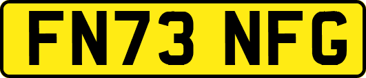 FN73NFG