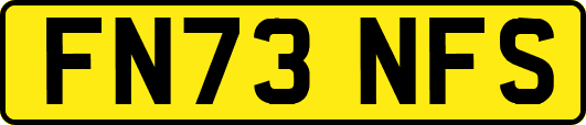 FN73NFS
