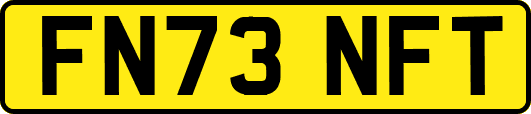 FN73NFT