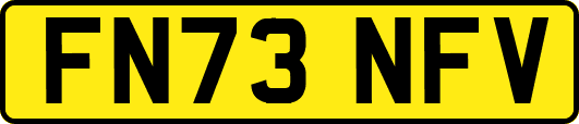 FN73NFV