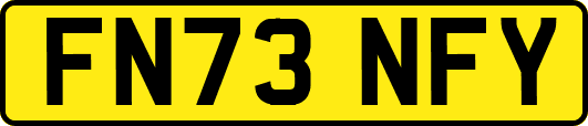FN73NFY