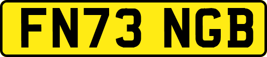 FN73NGB