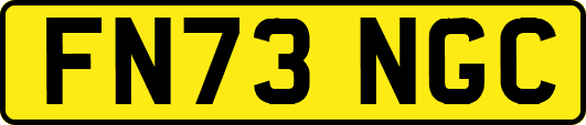 FN73NGC