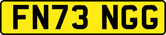 FN73NGG