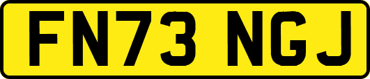 FN73NGJ