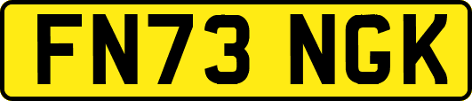 FN73NGK