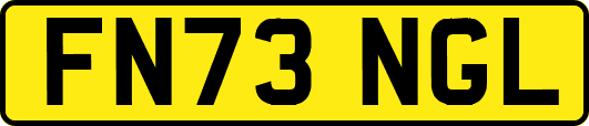 FN73NGL