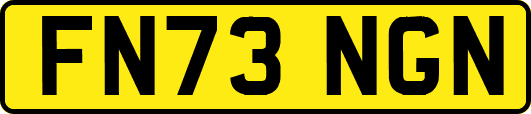 FN73NGN