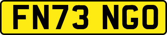 FN73NGO