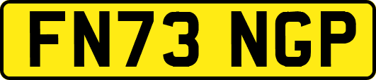 FN73NGP
