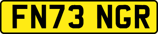 FN73NGR
