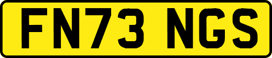 FN73NGS