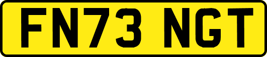 FN73NGT