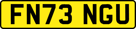 FN73NGU