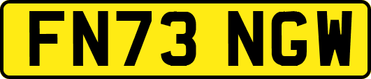 FN73NGW