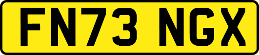 FN73NGX
