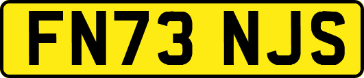 FN73NJS