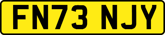FN73NJY