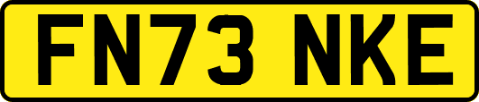 FN73NKE