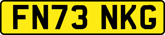 FN73NKG