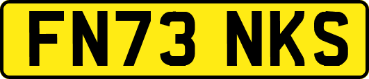 FN73NKS