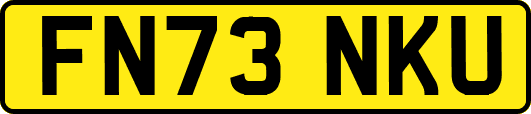 FN73NKU