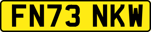 FN73NKW