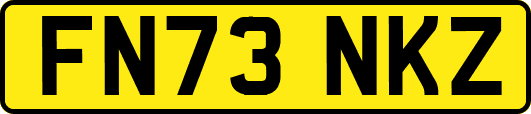 FN73NKZ