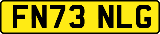 FN73NLG